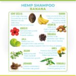 hemp shampoo hair loss