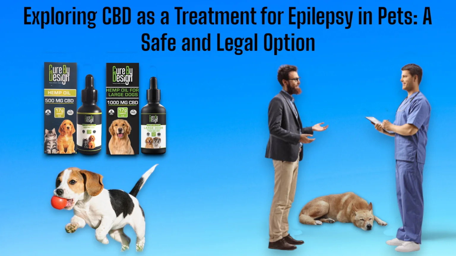 exploring hemp oil for large dogs