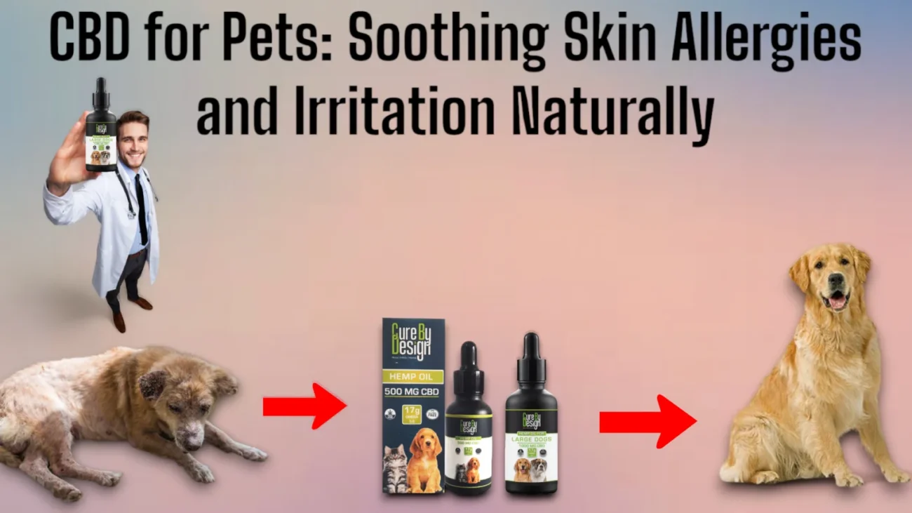 cbd products for pets