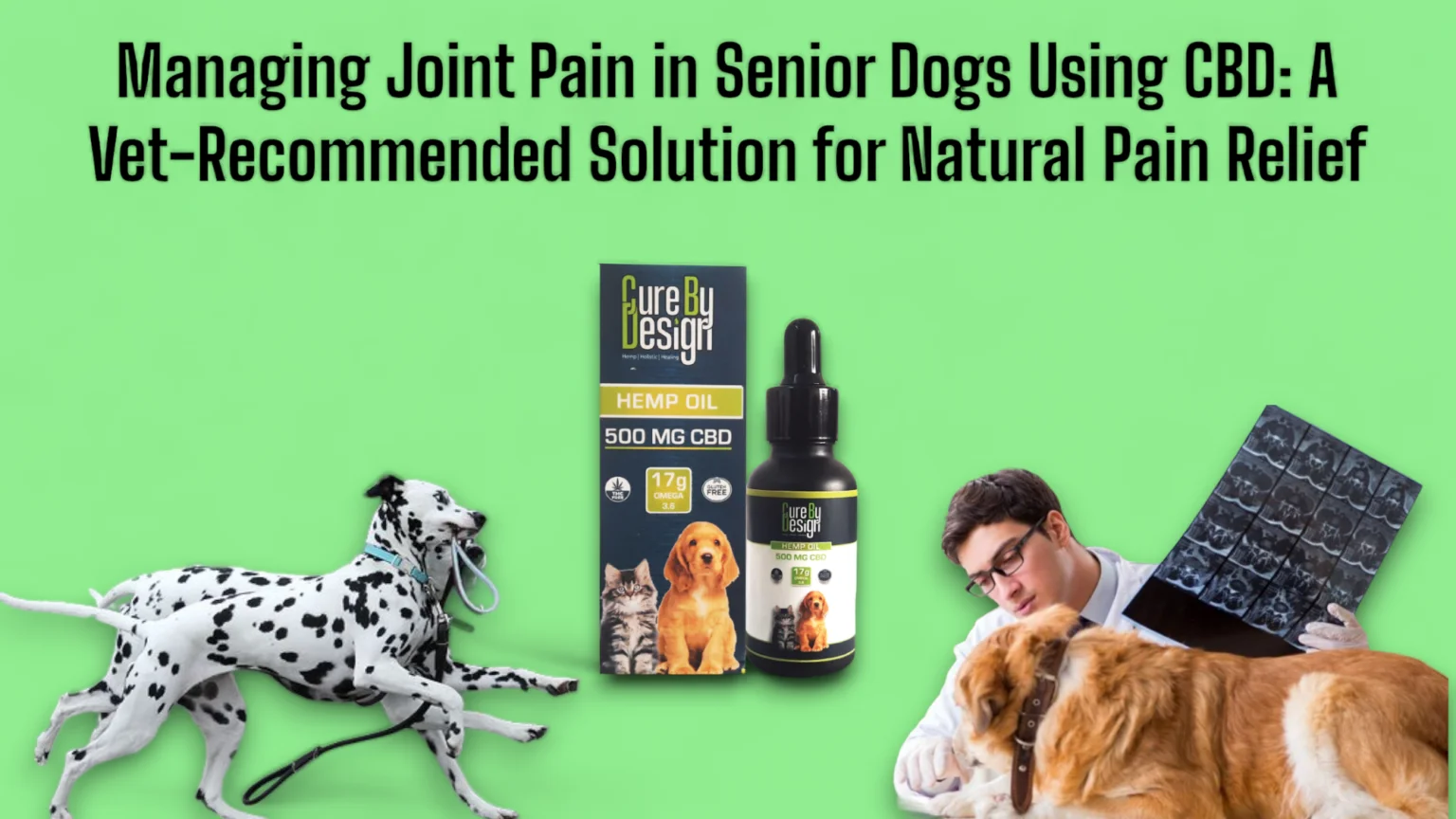 managing joint pain in senior dogs using cbd