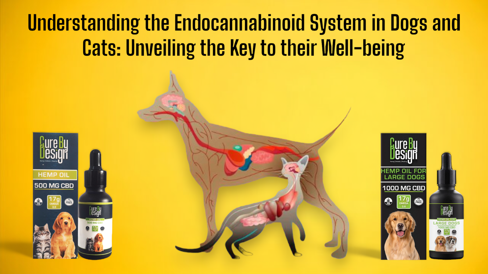 Understanding the Endocannabinoid System in Dogs and Cats: Unveiling the Key to their Well-Being