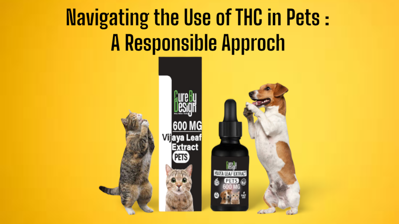 Navigating the Use of THC in Pets: A Responsible Approach