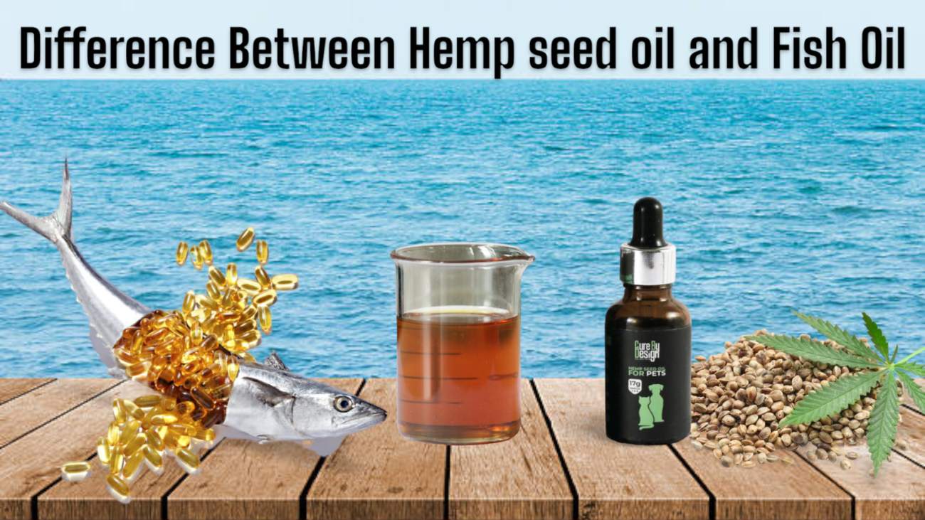 The Difference Between Hemp Seed Oil and Fish Oil for Pets