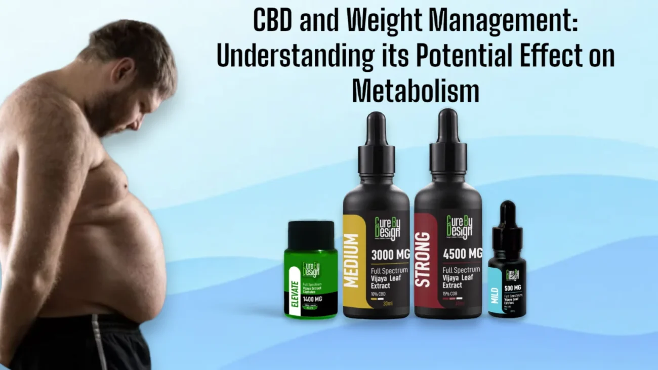 cbd and weight management: understanding the effect on metabolism