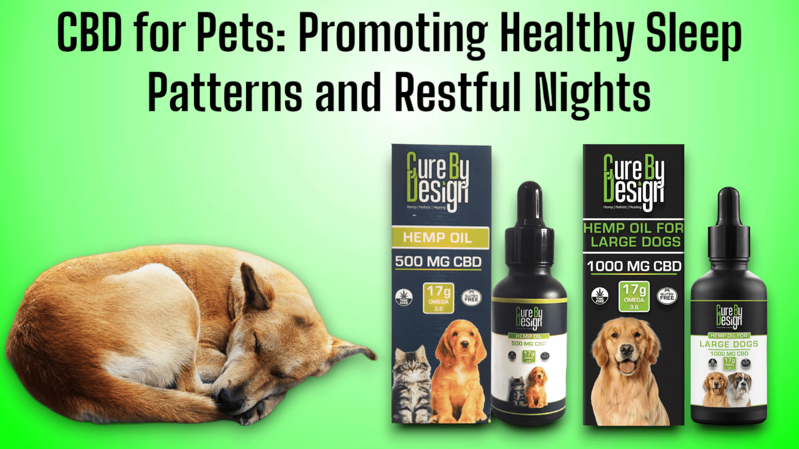 CBD for Pets: Promoting Healthgy Sleep Patterns and Restful Nights
