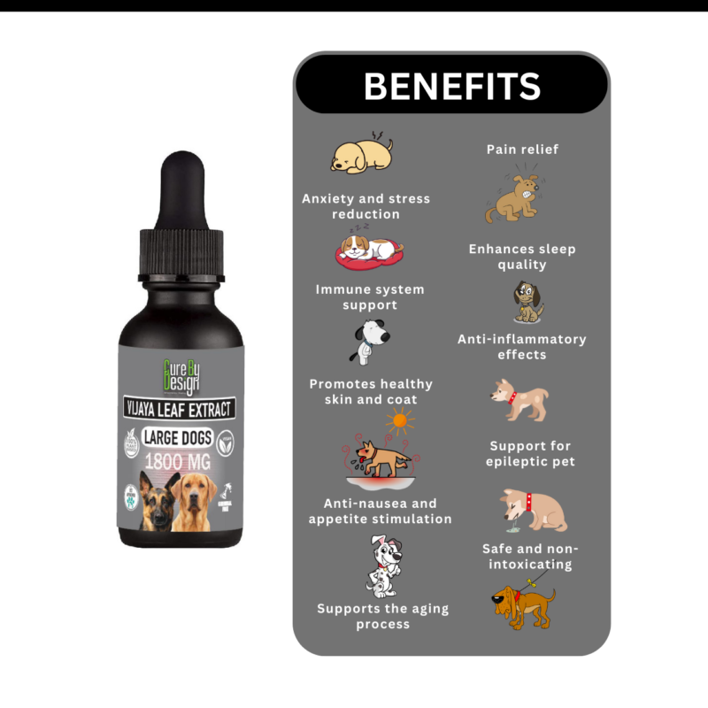 Cure-By-Design-Vijaya-for-Large-Dogs-1800mg-6 (1)
