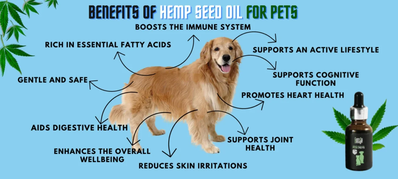 Benefits of Hemp Seed Oil for pets