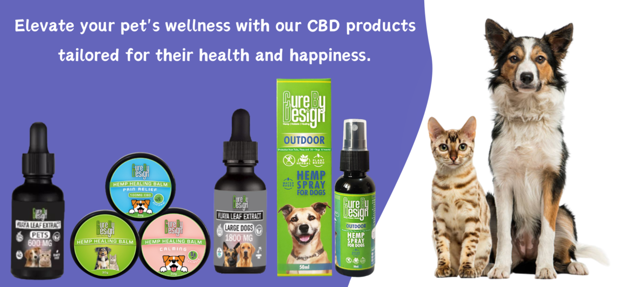 Cure By Design CBD products for pet's wellness