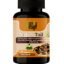 Turkey Tail – Strengthen Immunity, Boost Health, & Fight Inflammation Naturally