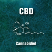 CBD Dominant Rx