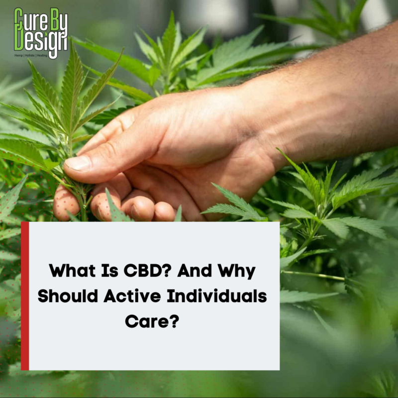 What Is CBD? And Why Should Active Individuals Care?