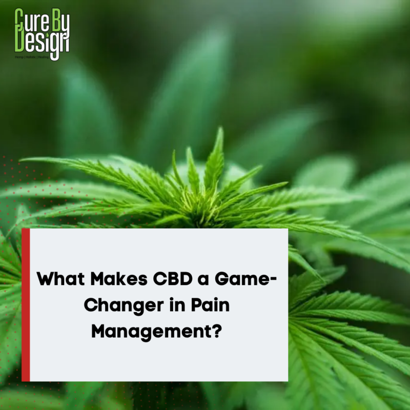 What Makes CBD a Game-Changer in Pain Management?