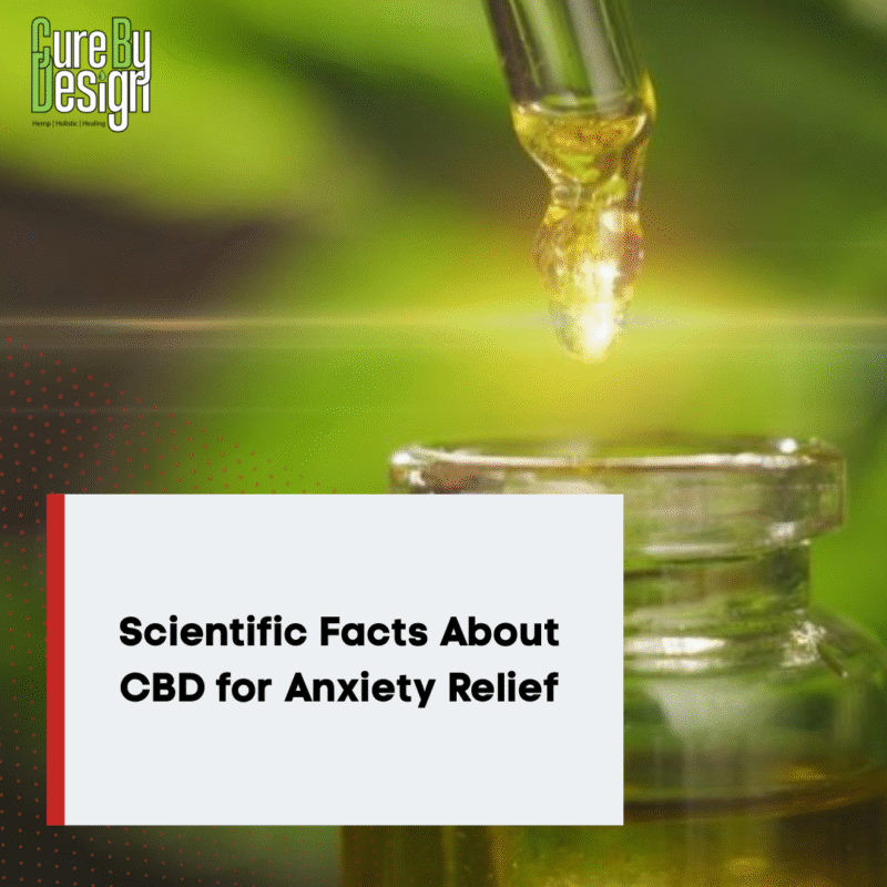 Scientific Facts About CBD for Anxiety Relief