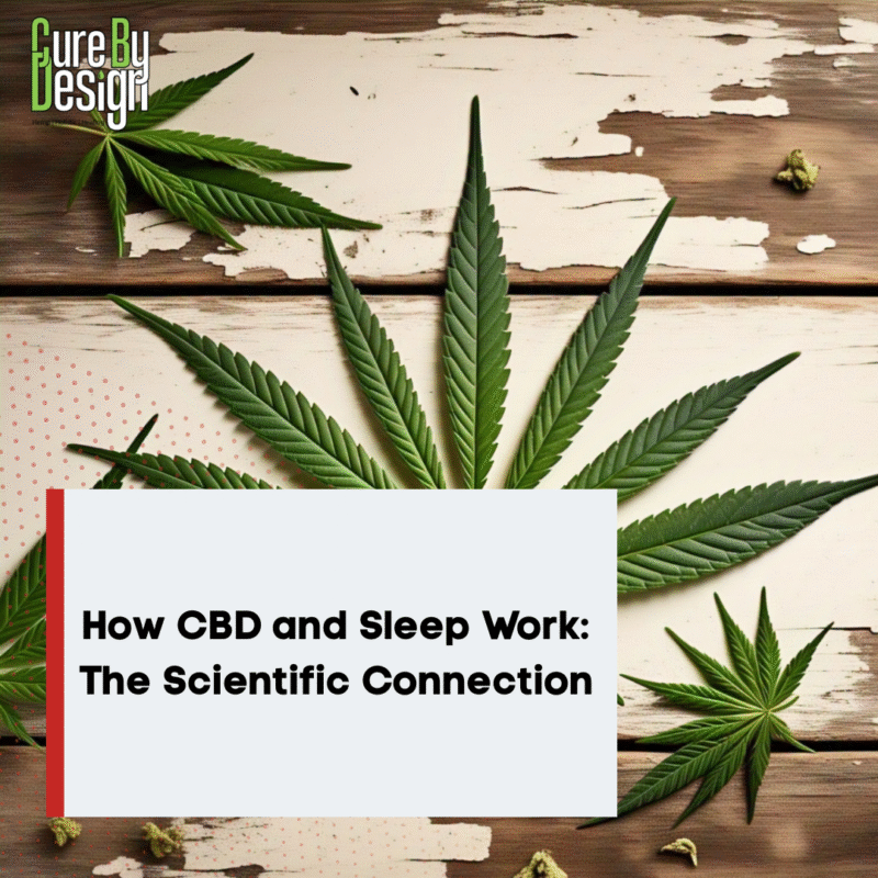 How CBD and Sleep Work: The Scientific Connection