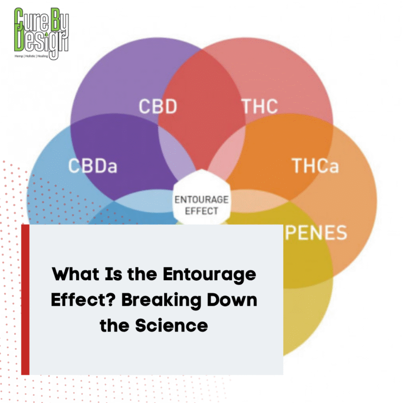 What Is the Entourage Effect? Breaking Down the Science