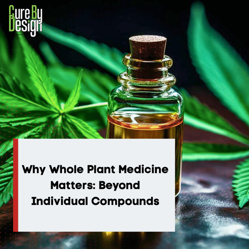 Why Whole Plant Medicine Matters: Beyond Individual Compounds