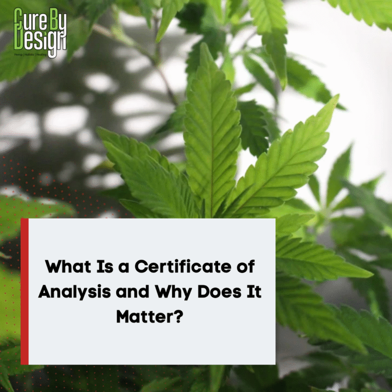 What Is a Certificate of Analysis and Why Does It Matter?
