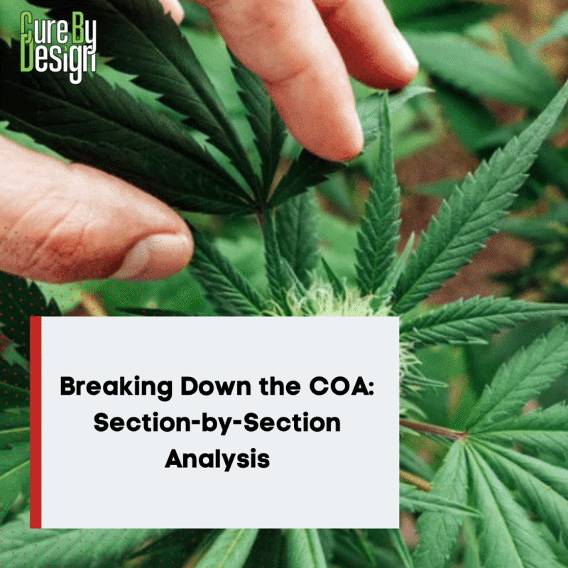 Breaking Down the COA: Section-by-Section Analysis