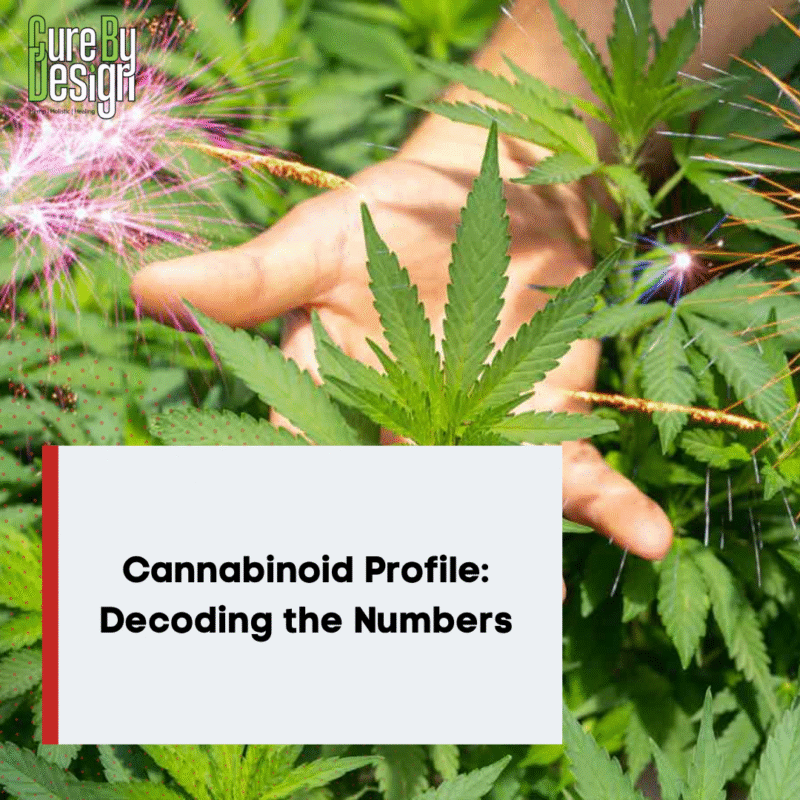 Cannabinoid Profile: Decoding the Numbers