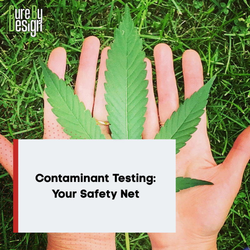 Contaminant Testing: Your Safety Net