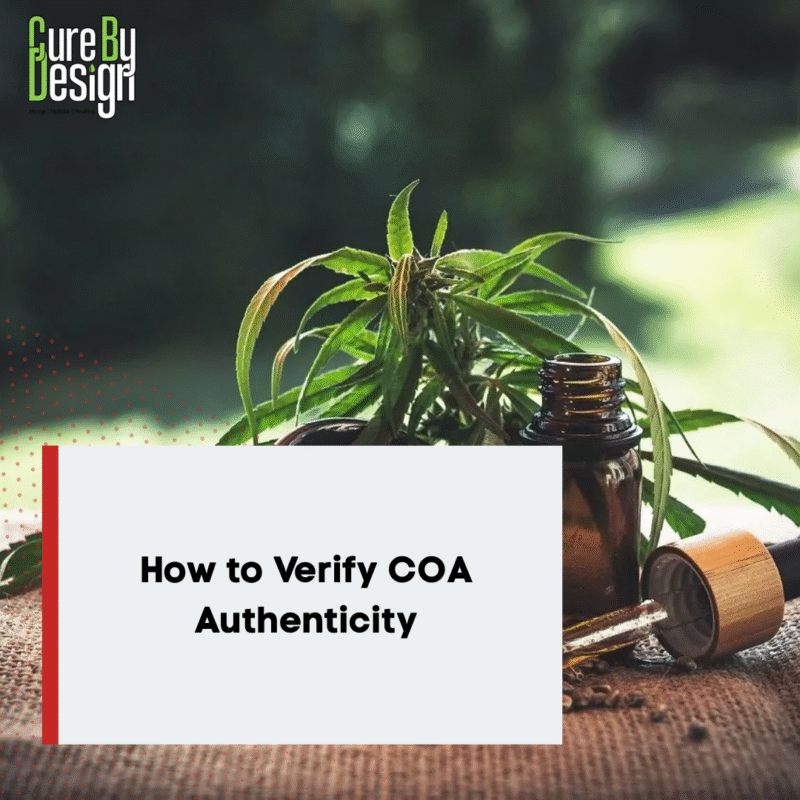 How to Verify COA Authenticity