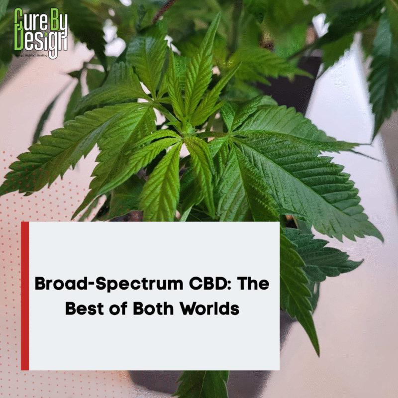 Broad-Spectrum CBD: The Best of Both Worlds