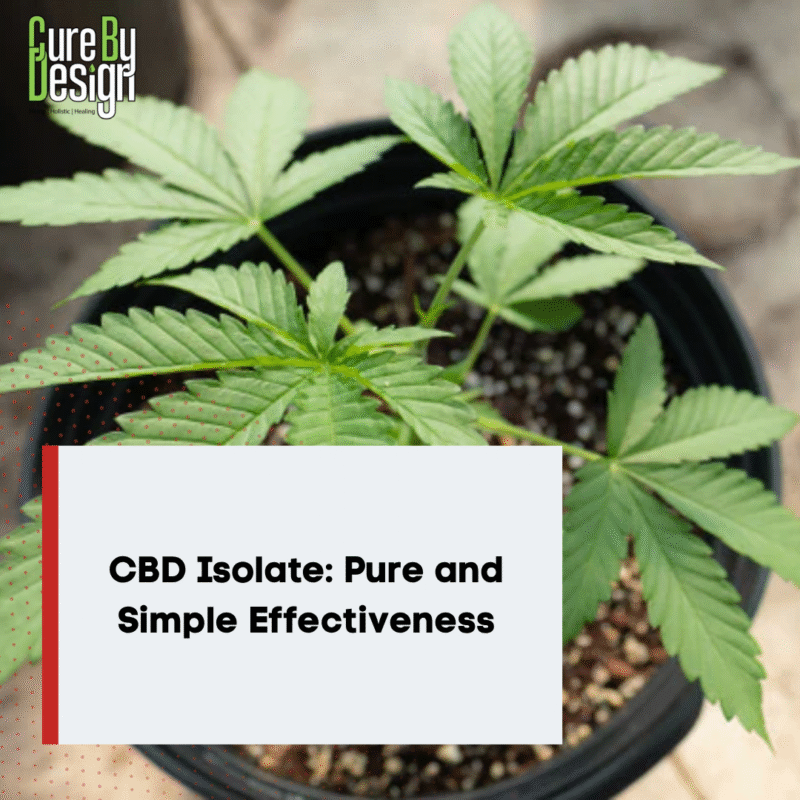 CBD Isolate: Pure and Simple Effectiveness