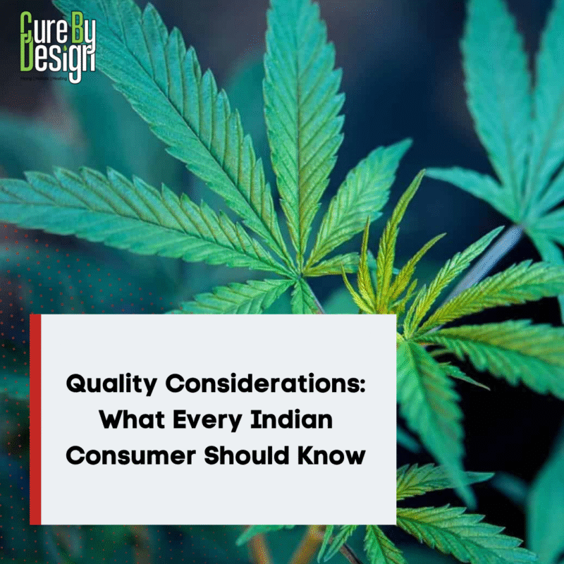Quality Considerations: What Every Indian Consumer Should Know