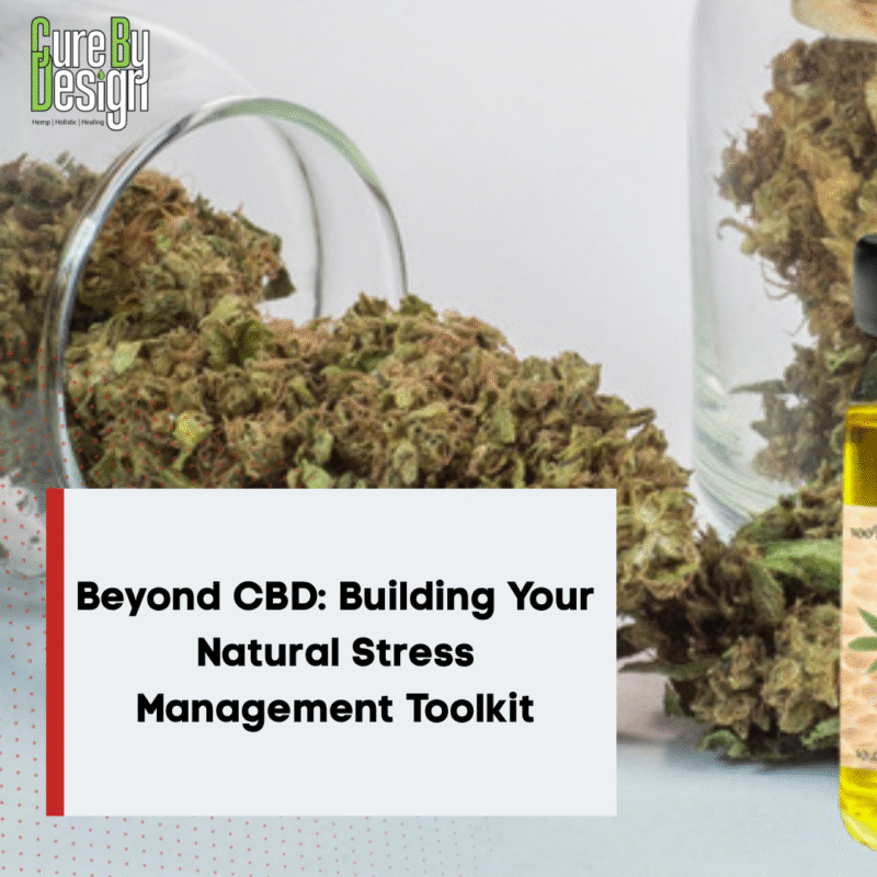 Beyond CBD: Building Your Natural Stress Management Toolkit