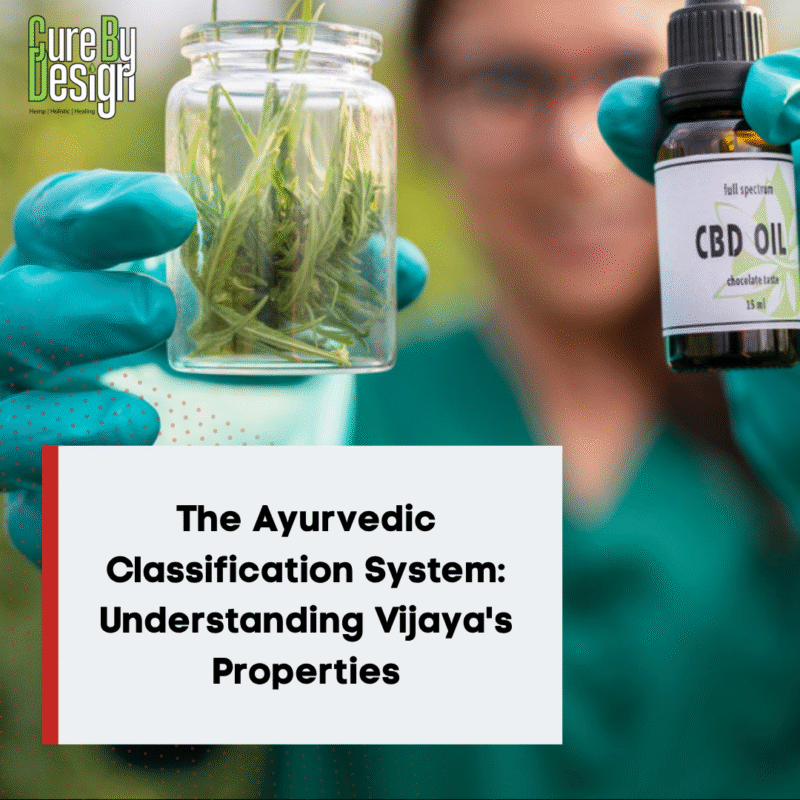 The Ayurvedic Classification System: Understanding Vijaya's Properties