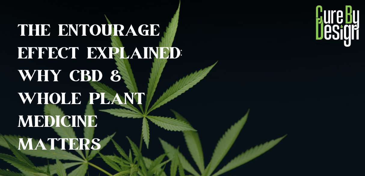 The Entourage Effect Explained: Why CBD & Whole Plant Medicine Matters
