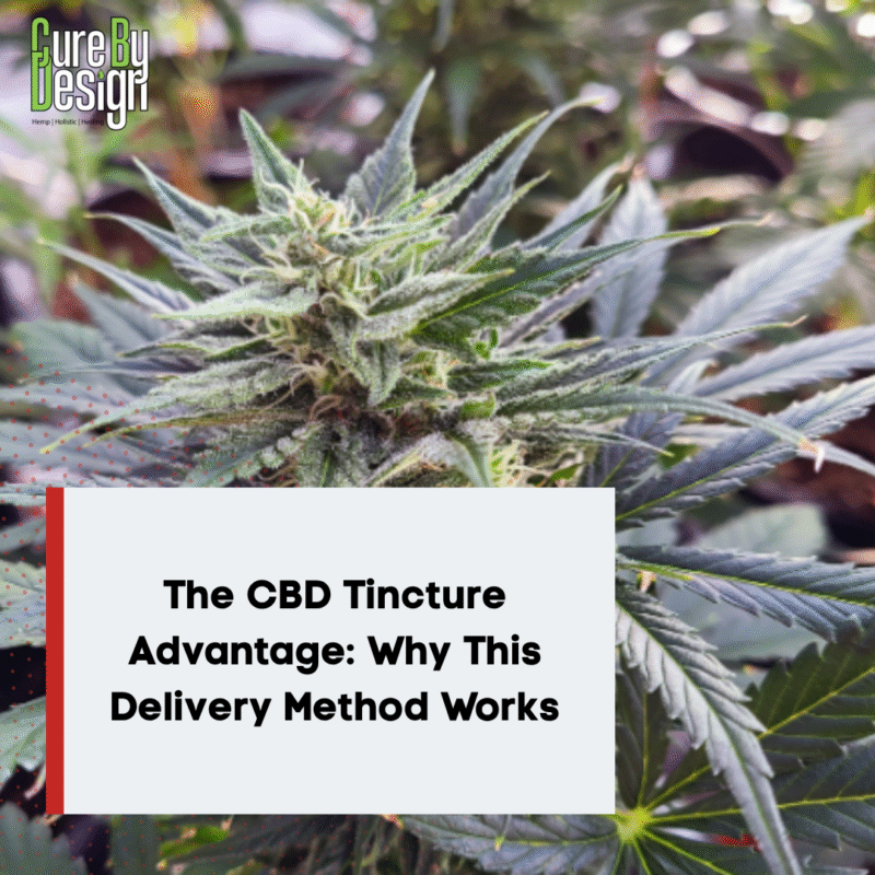 The CBD Tincture Advantage: Why This Delivery Method Works