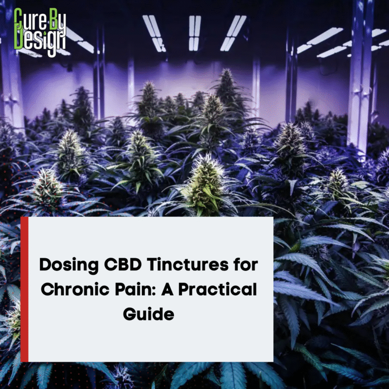Dosing CBD Tinctures for Chronic Pain: A Practical Guide