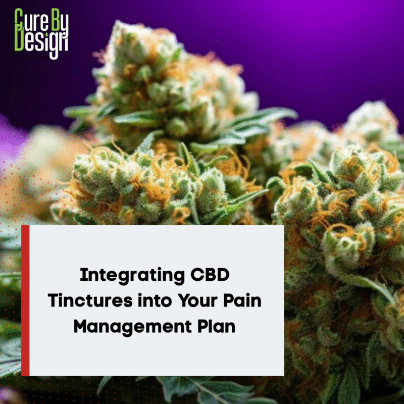 Integrating CBD Tinctures into Your Pain Management Plan