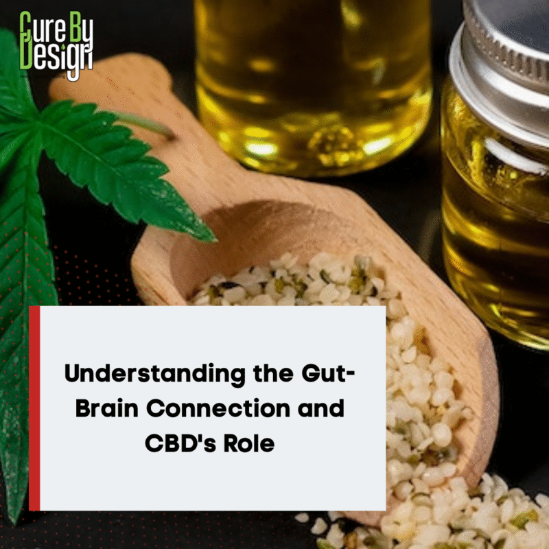 Understanding the Gut-Brain Connection and CBD's Role