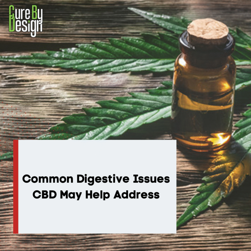 Common Digestive Issues CBD May Help Address