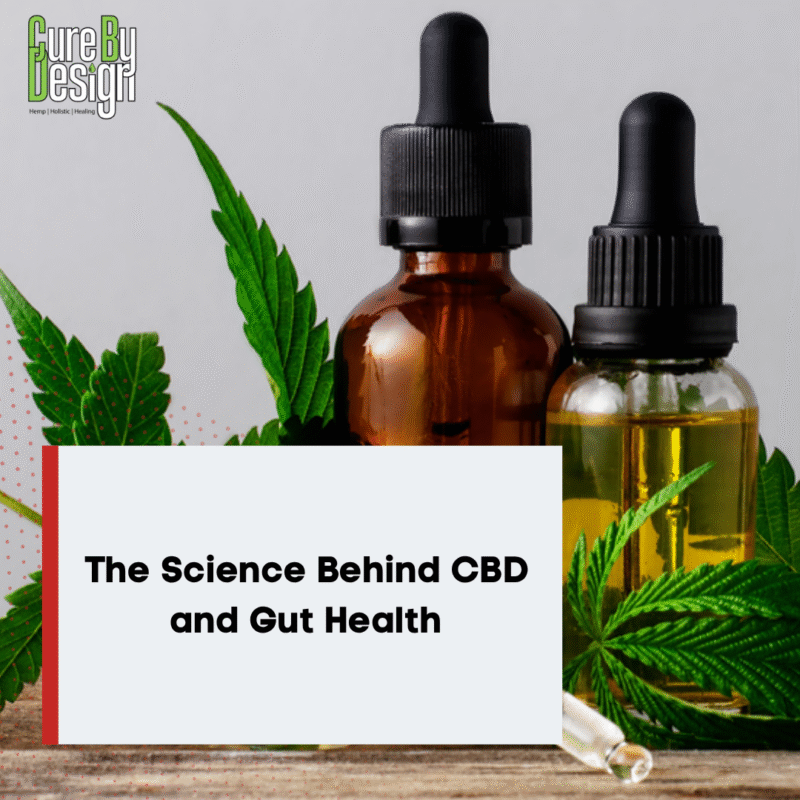 The Science Behind CBD and Gut Health