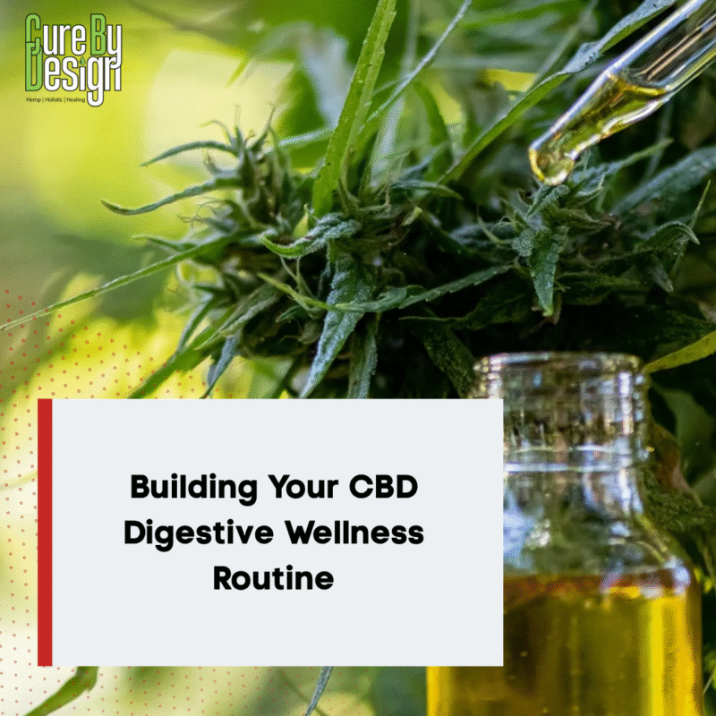 Building Your CBD Digestive Wellness Routine