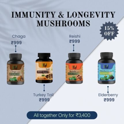 Immunity & Longevity Mushrooms – Functional Mushroom Bundle for Daily Vitality and Defense
