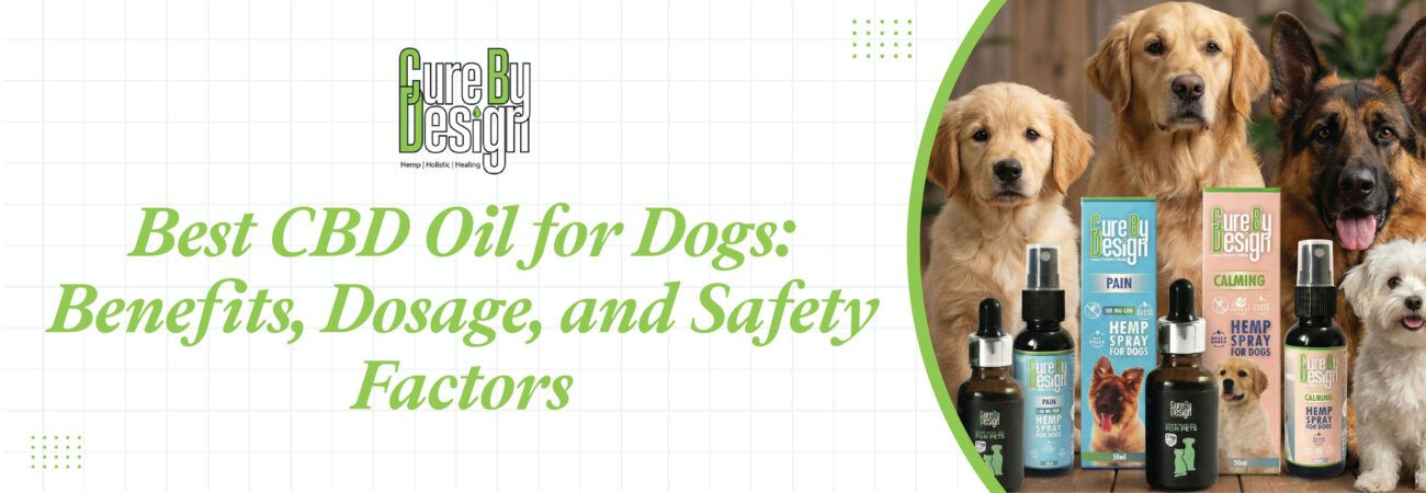 Best CBD Oil for Dogs
