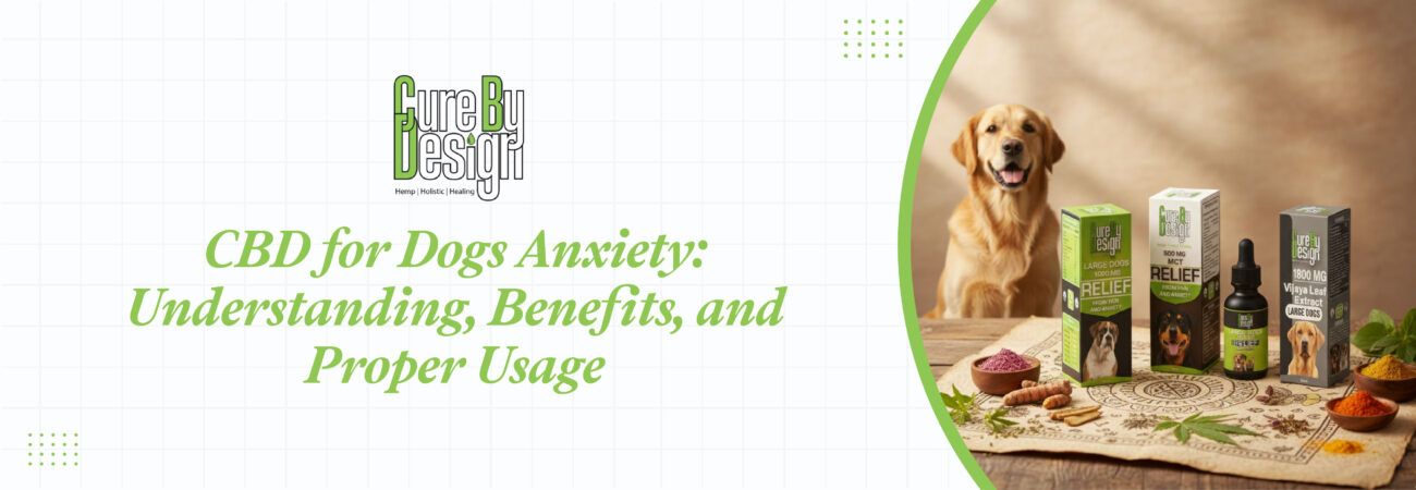 CBD for Dogs Anxiety
