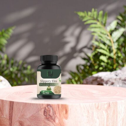 Slippery Elm – Gut Lining Repair & Acid Relief - Image 2