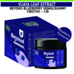 Beyond Gummies – Blueberry | Relaxation, Stress & Sleep Support