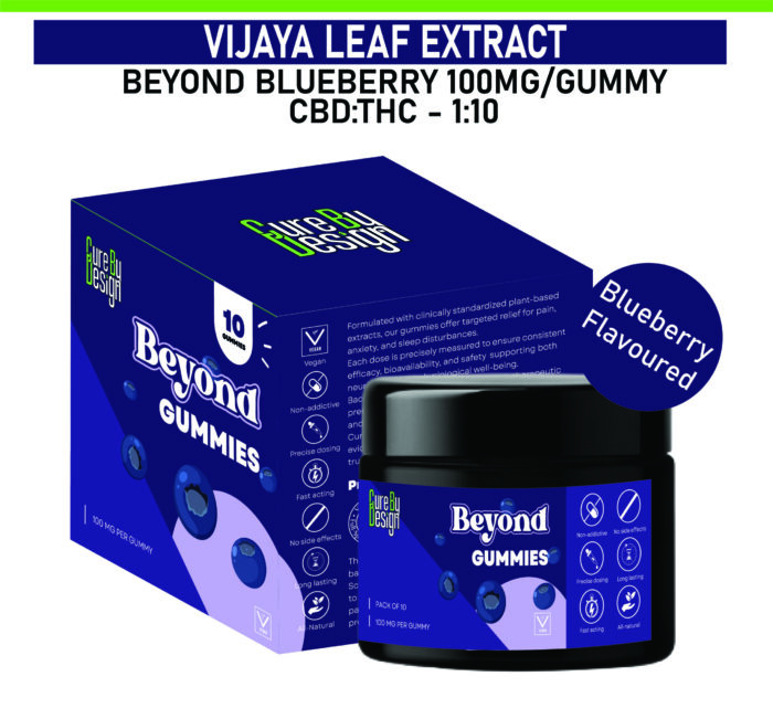 Beyond Gummies – Blueberry | Relaxation, Stress & Sleep Support - Image 1