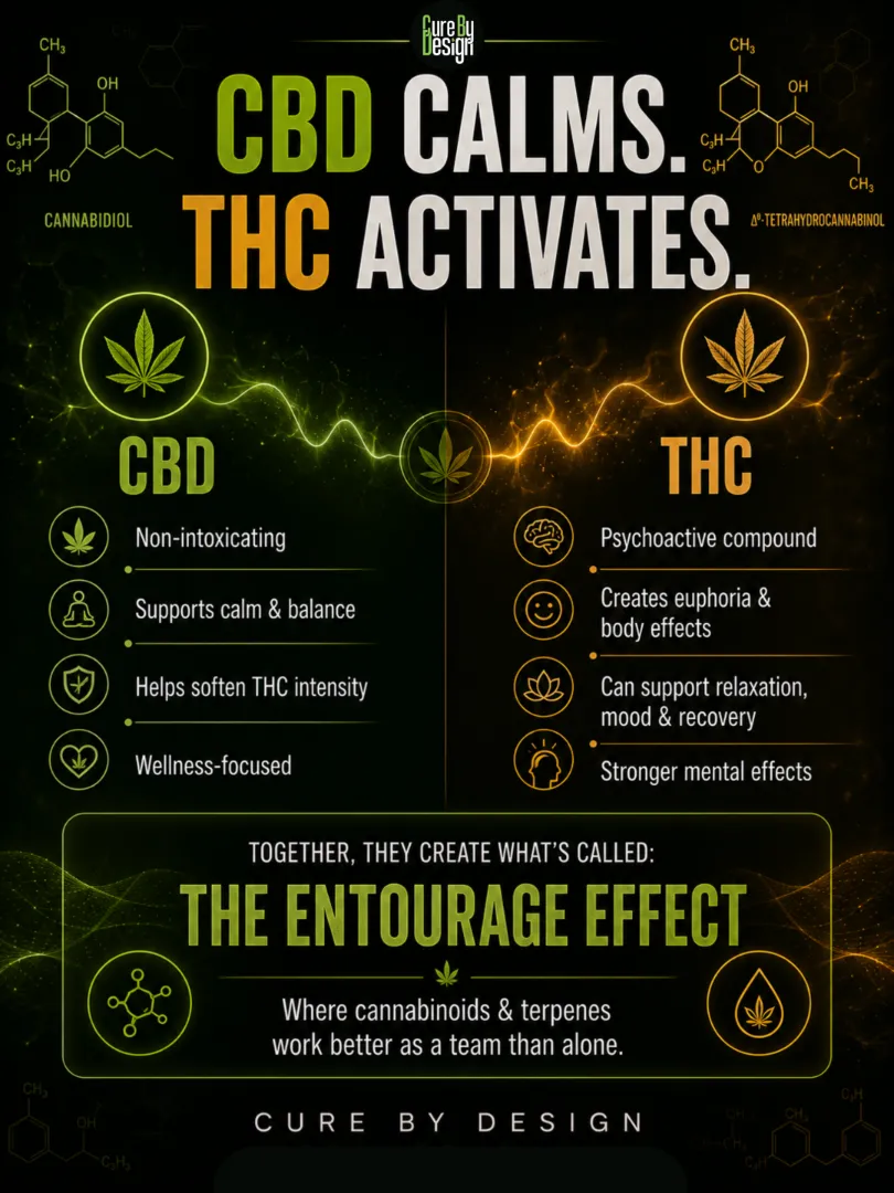 cbd-vs-thc-differences 2