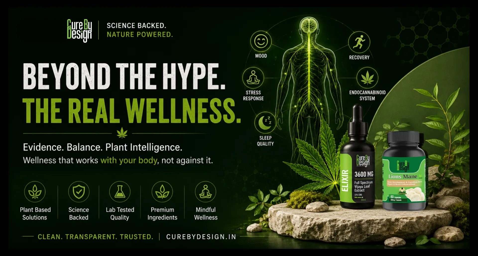 Science backed cannabis wellness illustration showing endocannabinoid system recovery sleep support stress balance and premium CBD wellness products