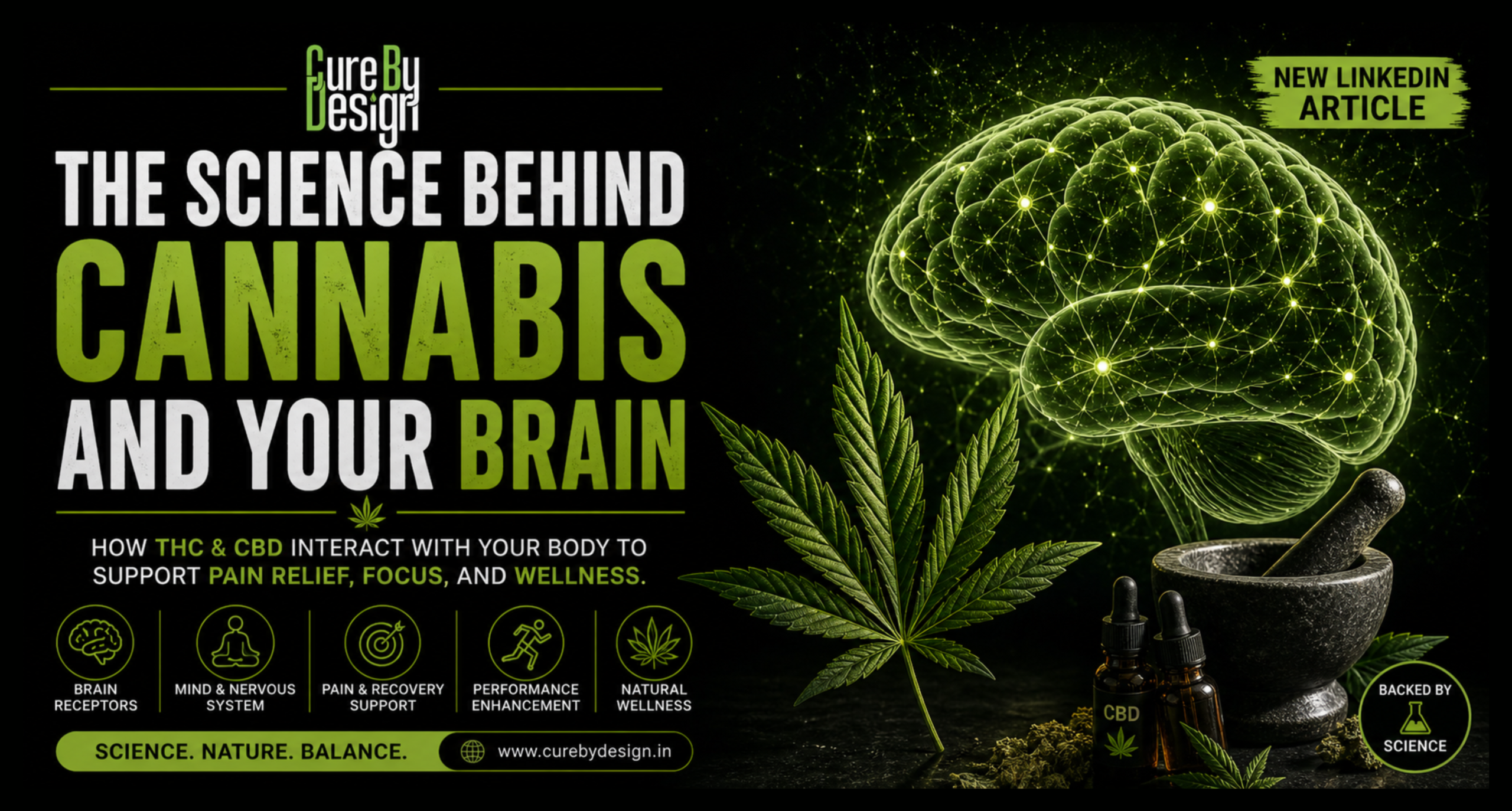 How Cannabis Interacts With Your Brain | THC, CBD & Wellness | Cure By Design