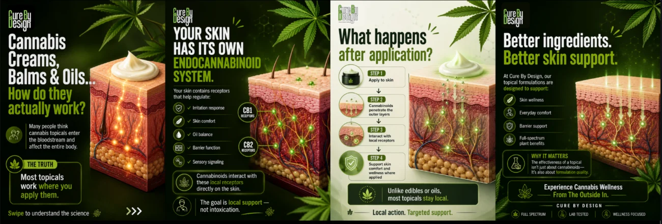 how cannabis topicals work skin endocannabinoid system