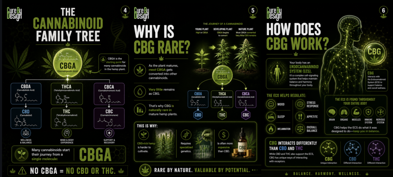 what is cbg cannabigerol mother cannabinoid guide 2
