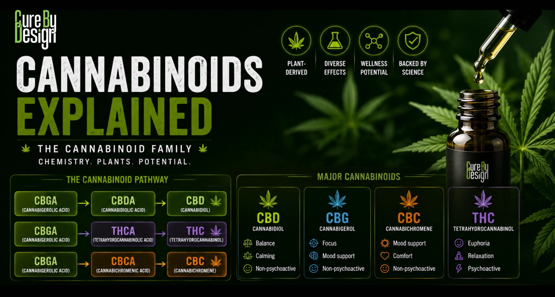 Cannabinoids explained including CBD CBG CBC and THC